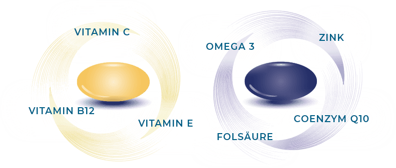 Vitamin C, Vitamin B12, Vitamin E, Omega 3, Zink, Folsäure, Coenzym Q10